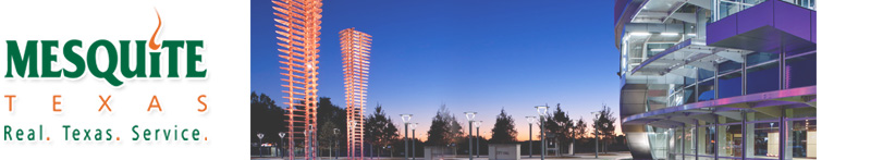 Banner logo with link to homepage